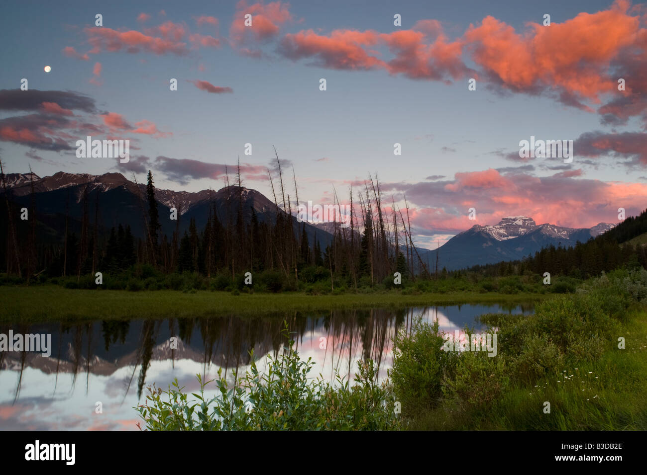 Mount Rundle e i Laghi Vermillion nel Parco Nazionale di Banff Foto Stock
