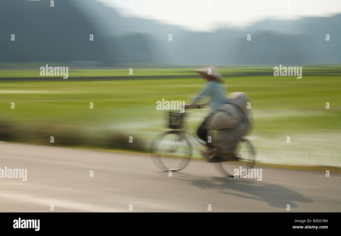 Una persona vietnamita in bicicletta attraverso le risaie a Tam Coc, Nord Vietnam centrale Foto Stock