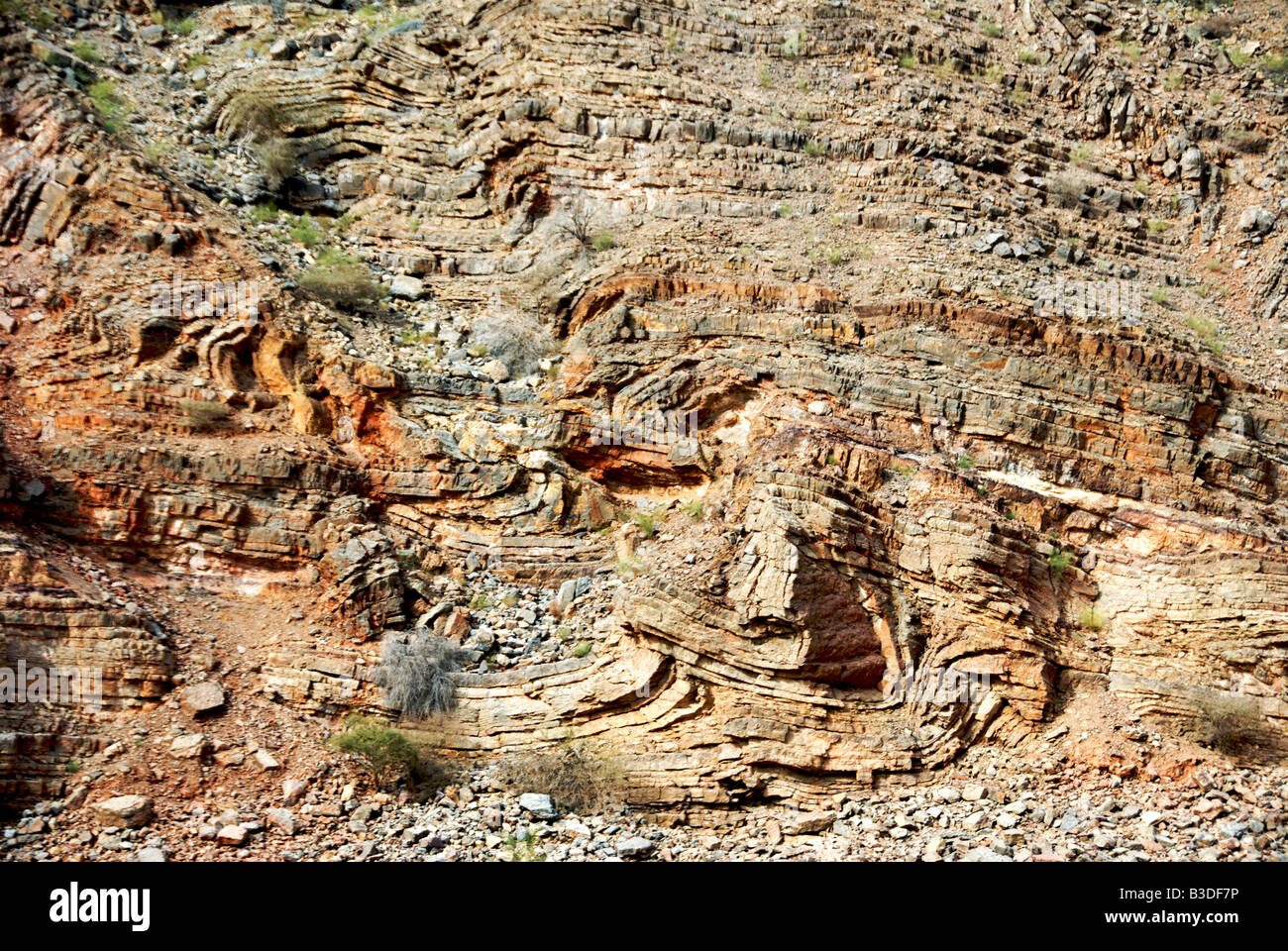 Piegatura Exreme in strati Wadi al Sharqiya Abriyyin Regione Sultanato di Oman Foto Stock