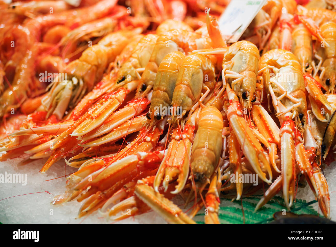 Sant Josep mercato Barcellona Catalonia Spagna Foto Stock