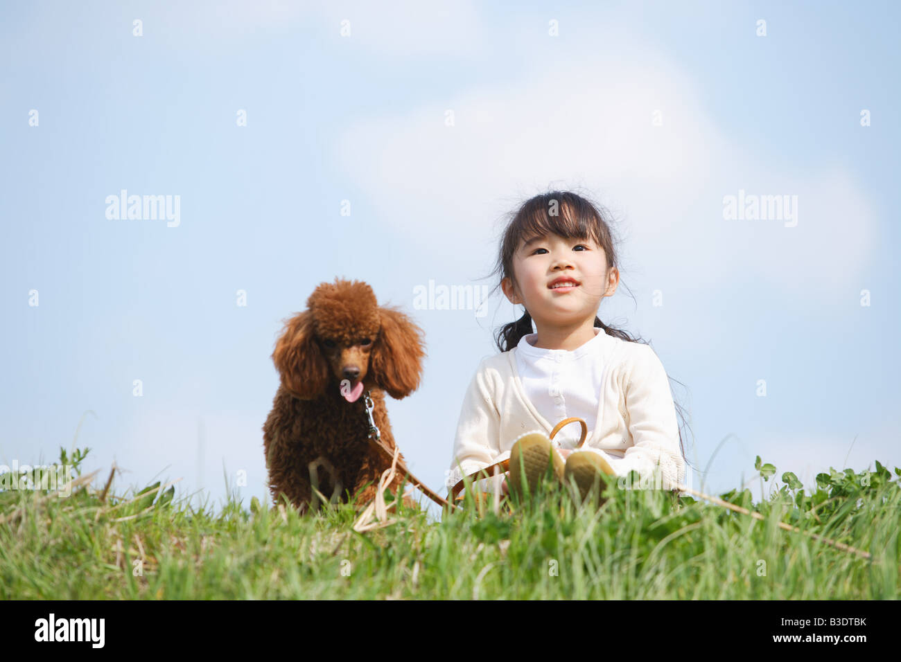 Sorridente ragazza seduta con un grazioso cucciolo in posizione di parcheggio Foto Stock