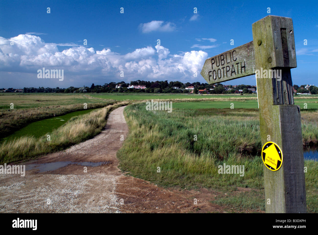 Sentiero pubblico attraversando le paludi a Aldeburgh Suffolk REGNO UNITO Foto Stock