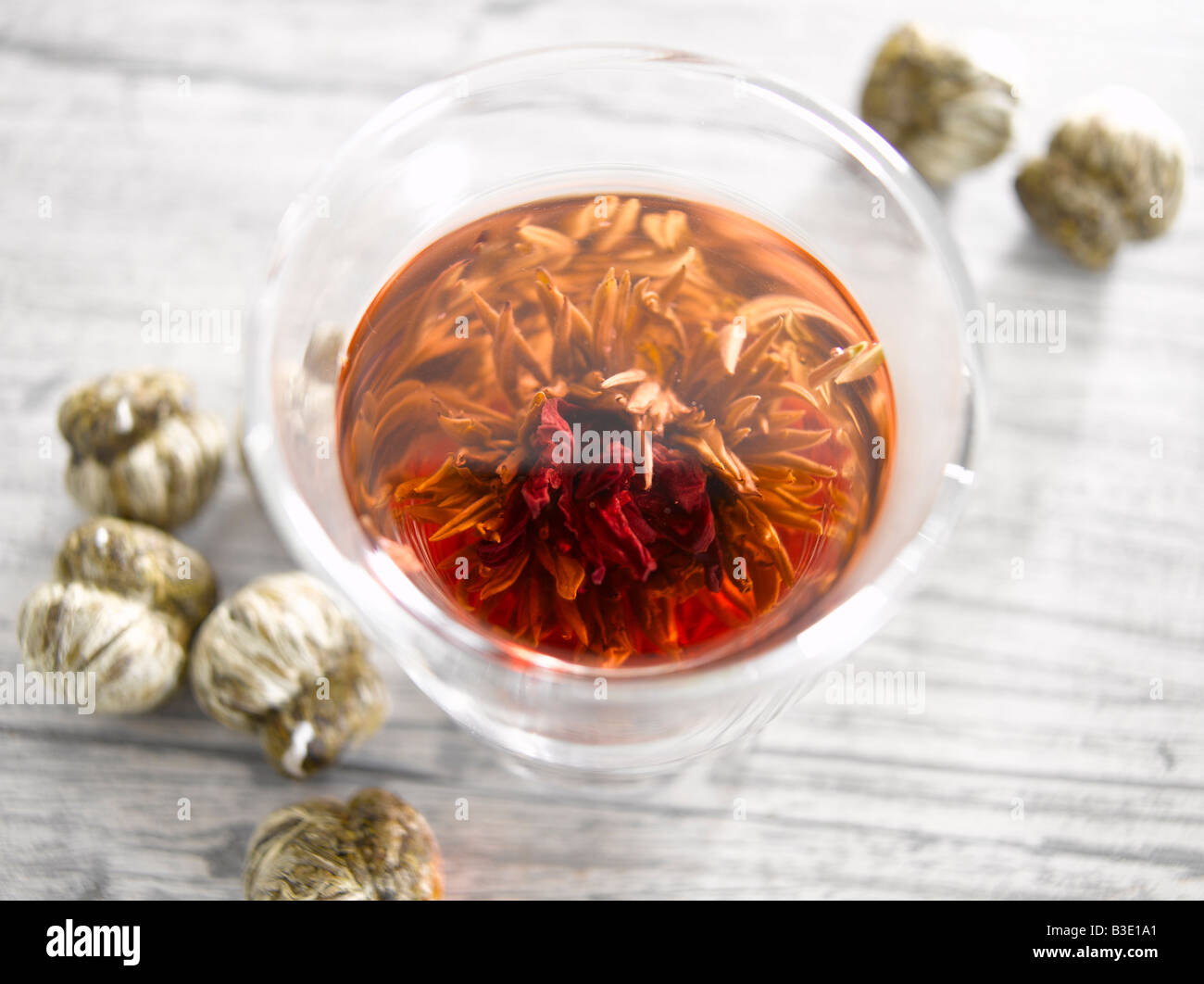 Fiore di tè tè in vetro, vista in elevazione Foto Stock
