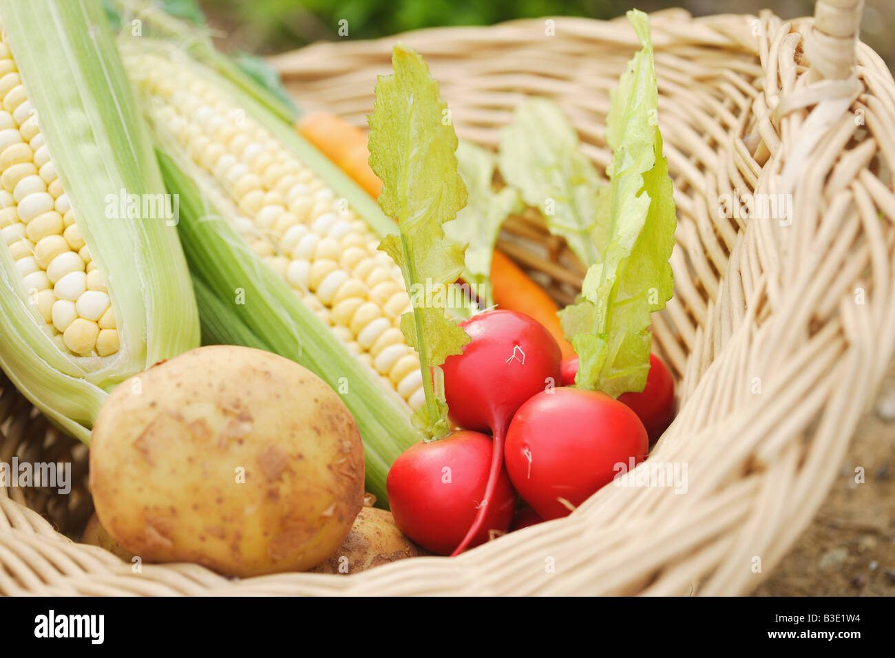Un cestello con verdure Foto Stock