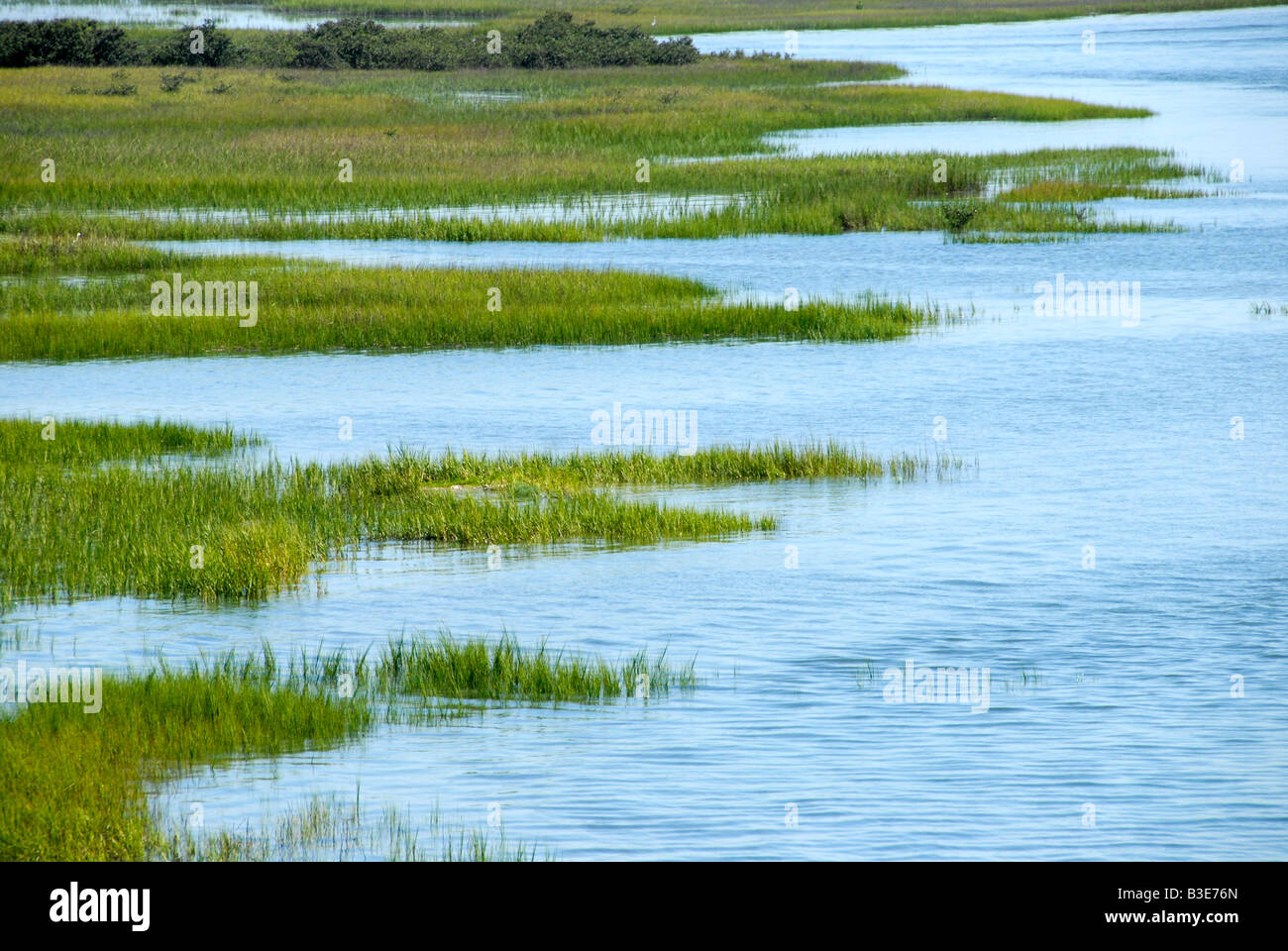 Vista la palude sotto il Castillo de San Marcos St Augustine Florida Foto Stock