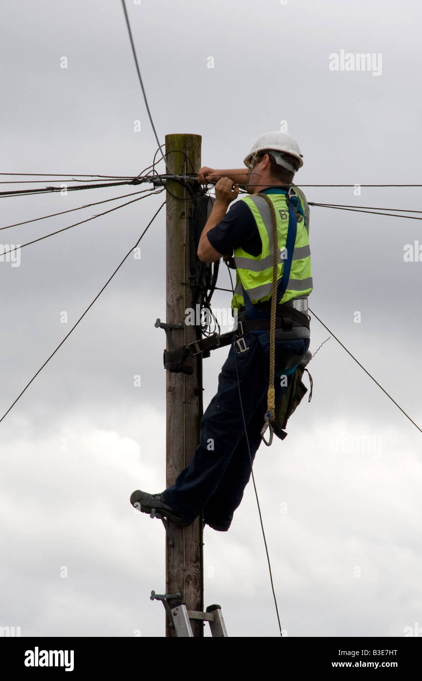 L'uomo l'installazione di cavi telefonici sul palo del telegrafo Foto Stock