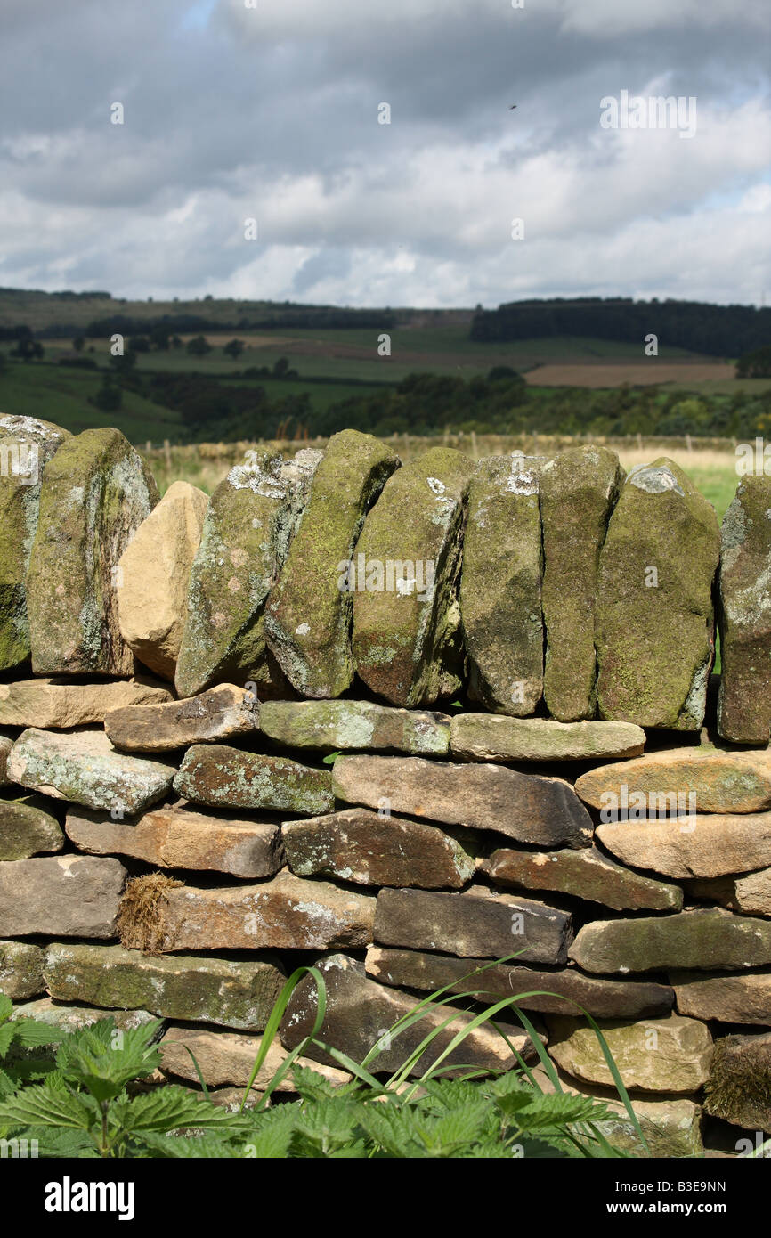 Una stalattite parete nel Peak District, Derbyshire, England, Regno Unito Foto Stock