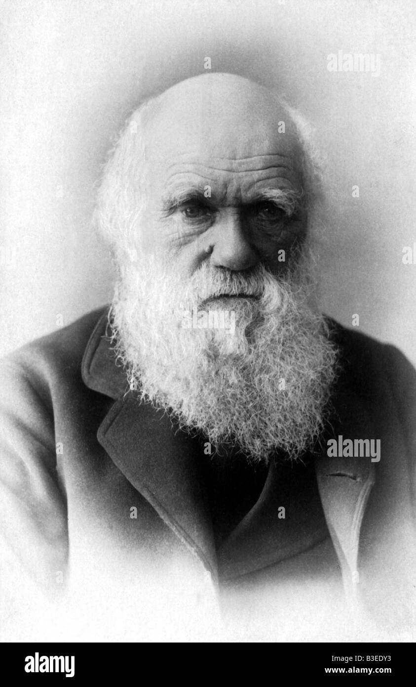 Darwin, Charles Robert, 12.2.1809 - 19.4.1882, naturalista britannico, ritratto, circa 1880, Foto Stock