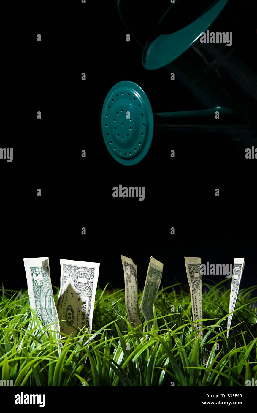 Il denaro cresce da un prato Foto Stock