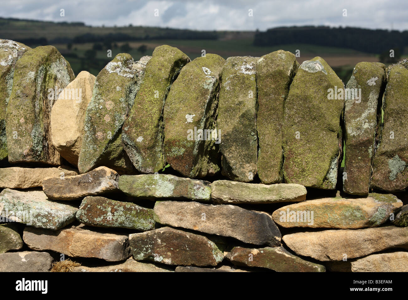 Una stalattite parete nel Peak District, Derbyshire, England, Regno Unito Foto Stock