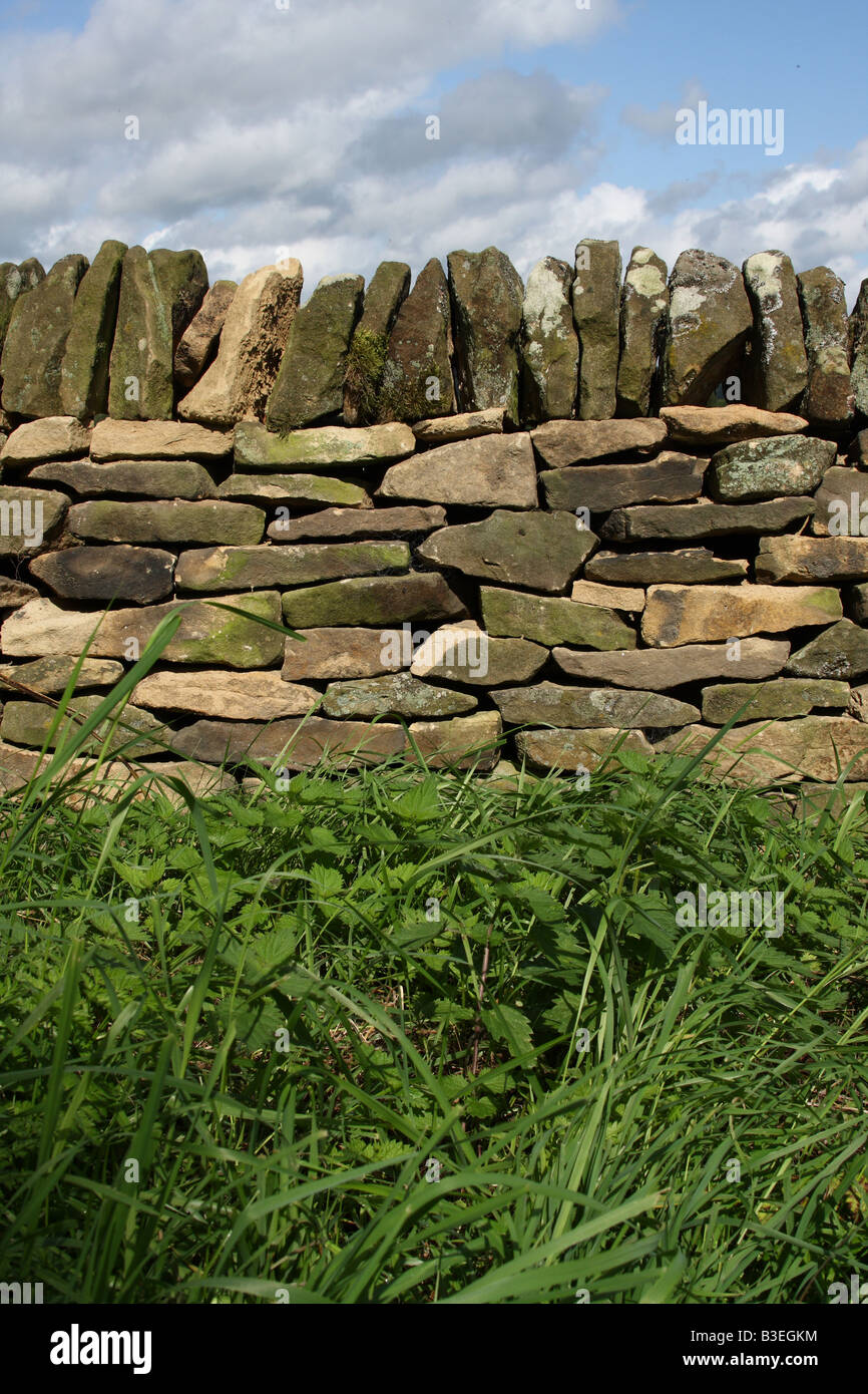 Una stalattite parete nel Peak District, Derbyshire, England, Regno Unito Foto Stock