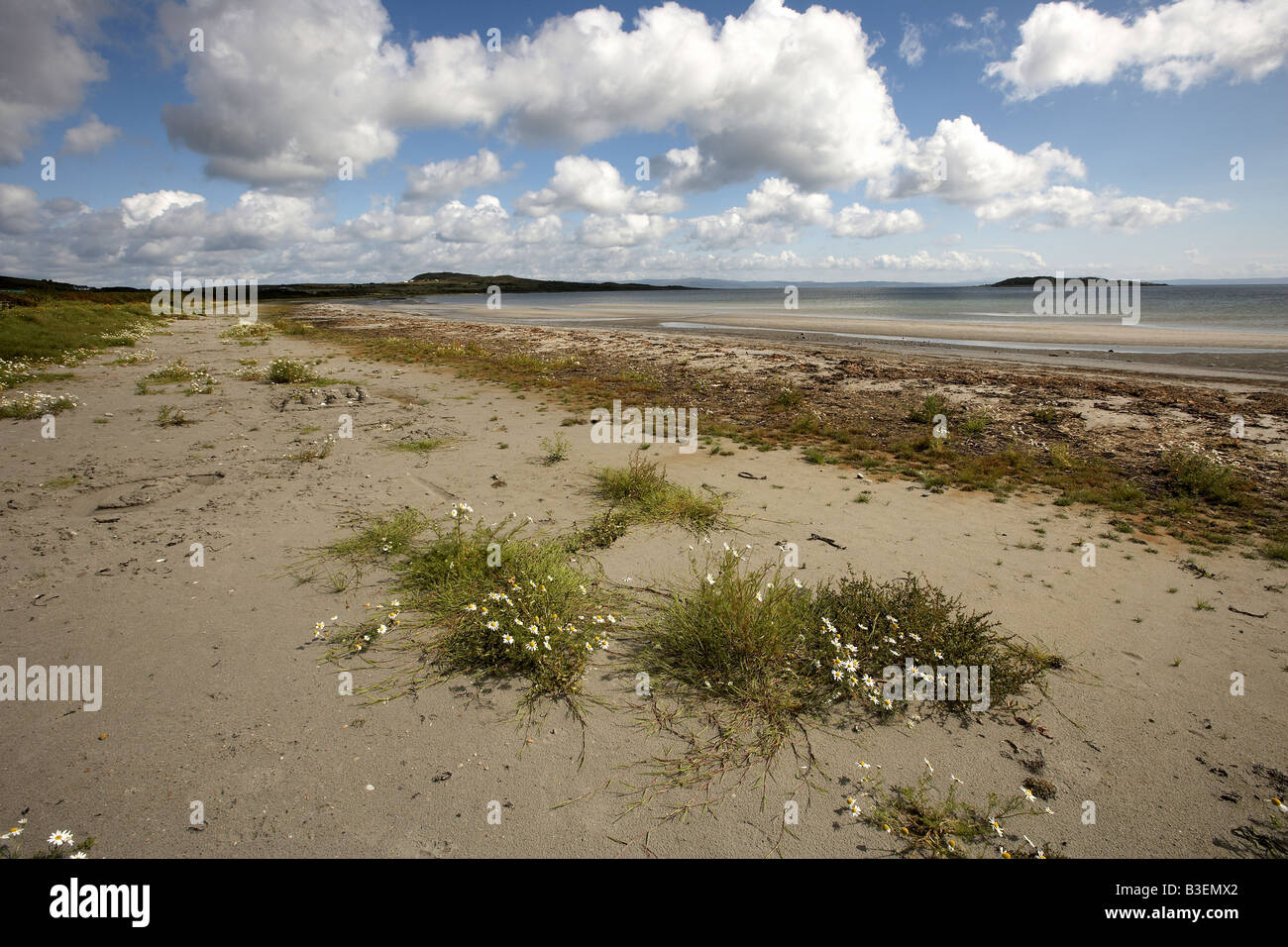 Corran sands Isle of Jura Ebridi Interne in Scozia UK Foto Stock