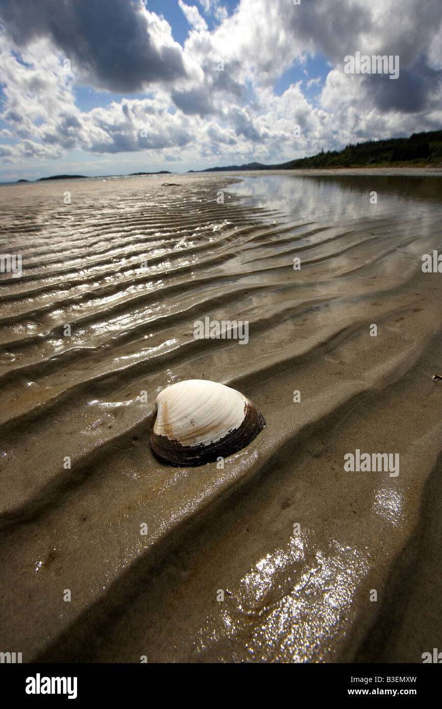 Shell e Corran sands Isle of Jura Ebridi Interne in Scozia UK Foto Stock