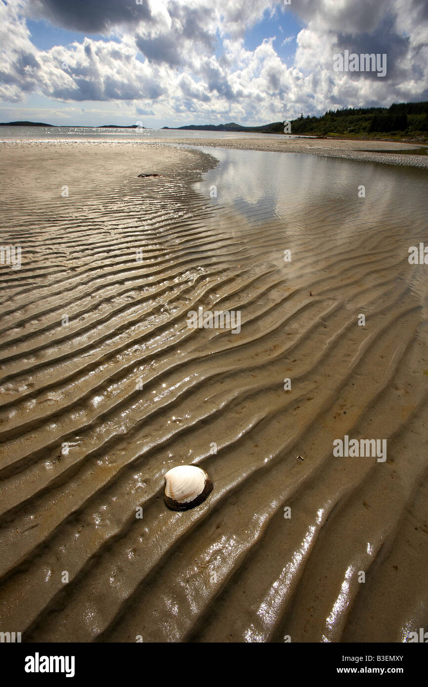 Shell e Corran sands Isle of Jura Ebridi Interne in Scozia UK Foto Stock