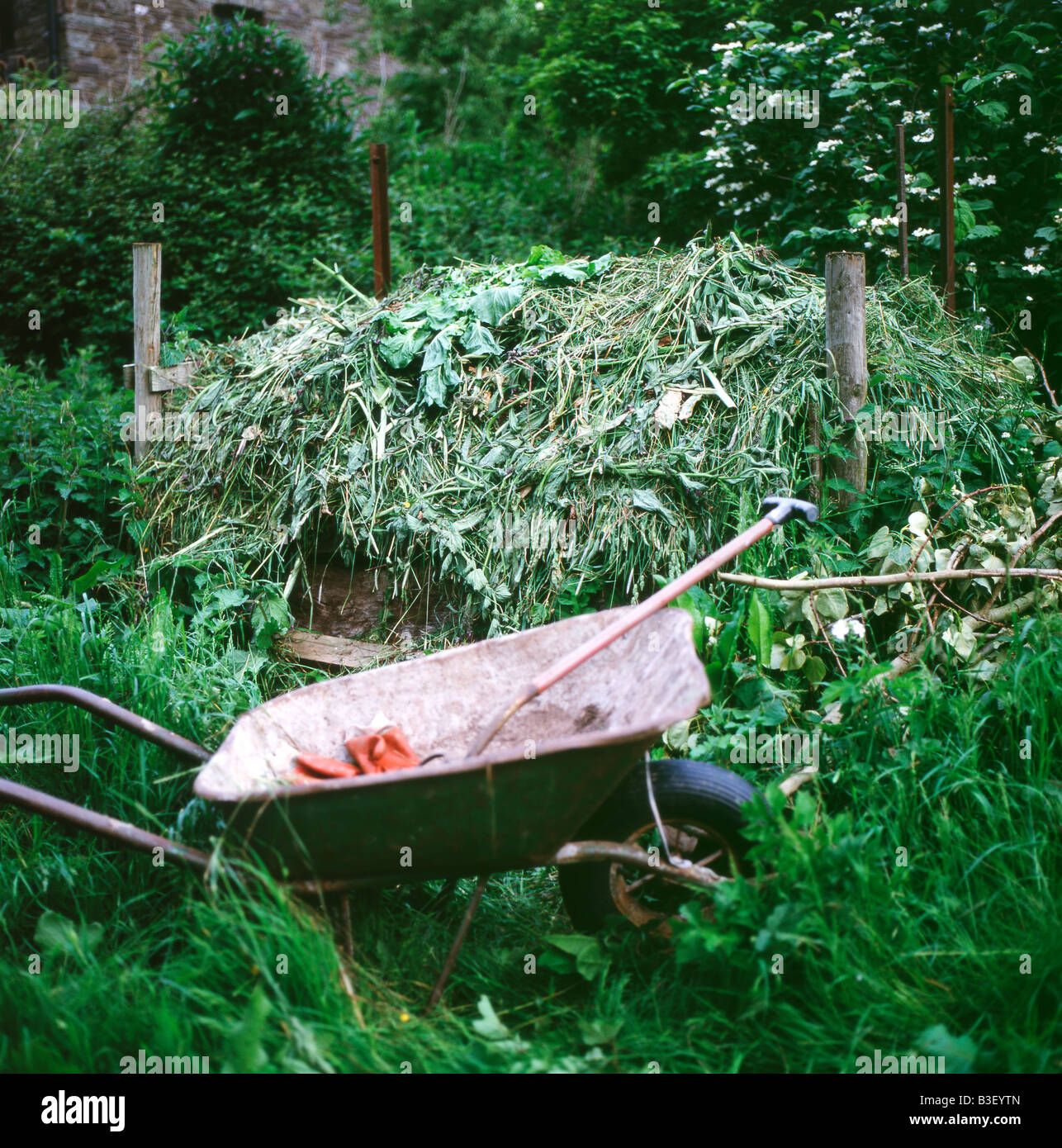 Composter erba, erbacce in una carriola, forcella e guanti da giardinaggio in un auto-sufficienti giardino in Wales UK KATHY DEWITT Foto Stock