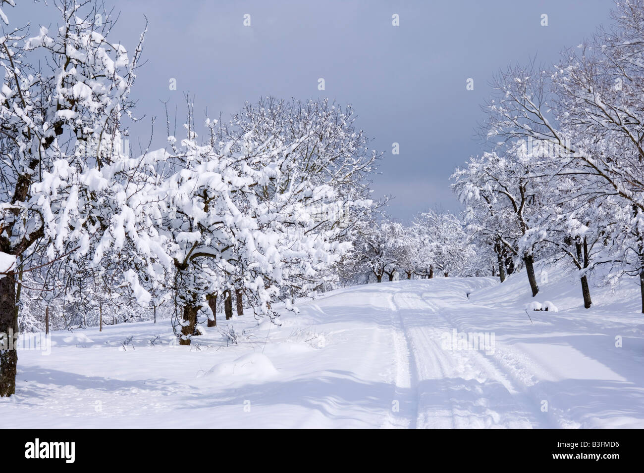 Paesaggio invernale paese strada conduce attraverso appena coperto di neve paesaggio invernale Schwaebische Alb Germania Foto Stock