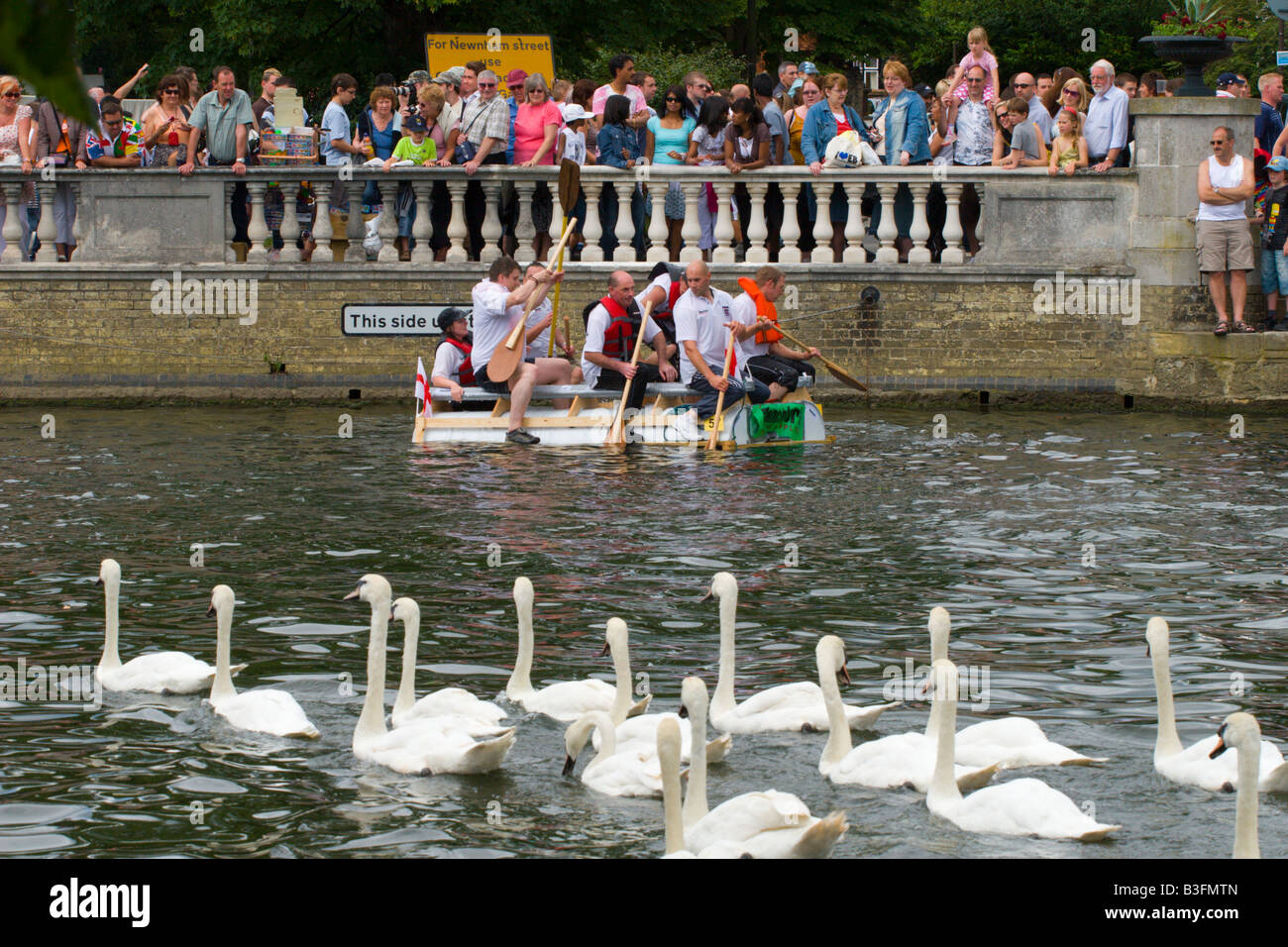 Cigni e racing travi a vista sul fiume Ouse al bedford fiume festival, 2008 Foto Stock