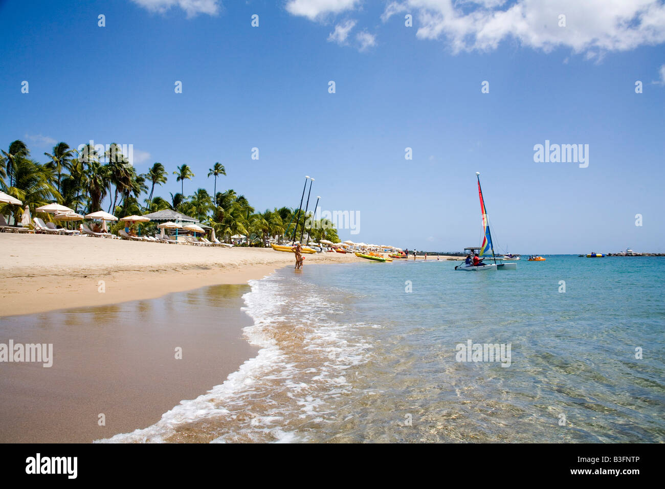 Incredibile Pinneys beach con palme da cocco al Four Seasons hotel in Nevis Caraibi Foto Stock