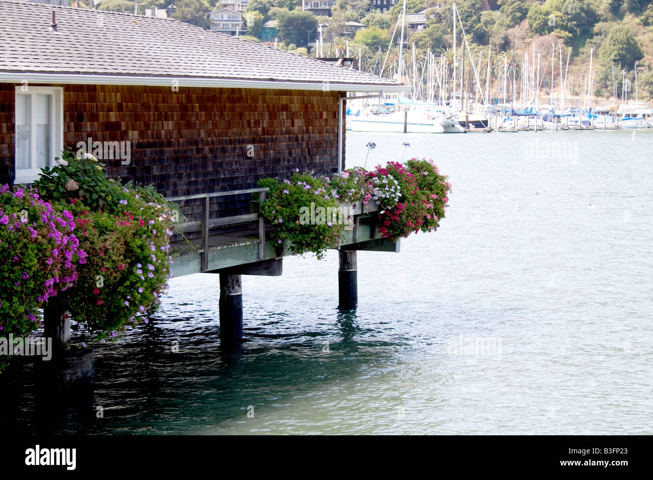 La casa in acqua con varie specie di fiori che crescono in fioriere in Tiburon, California Foto Stock