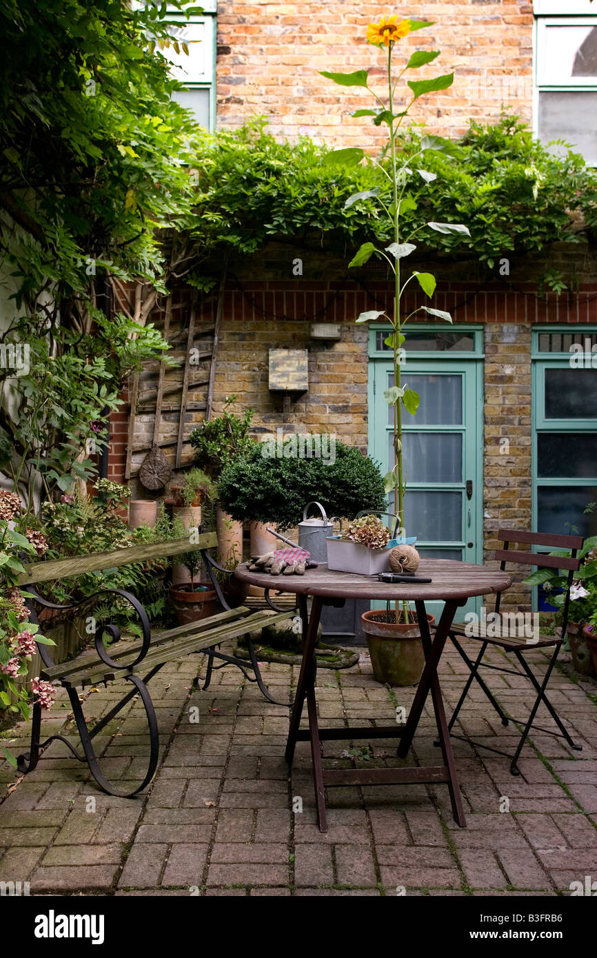 Urban cortile interno con giardino e semi di girasole Foto Stock