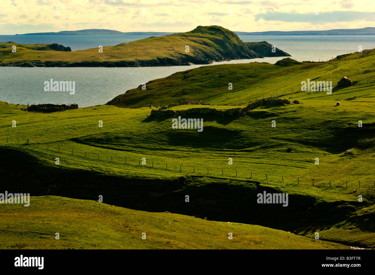 Shetland paesaggi verdi colline con pecore al pascolo e vista verso St Magnus Bay terraferma Isole Shetland Scozia UK Foto Stock
