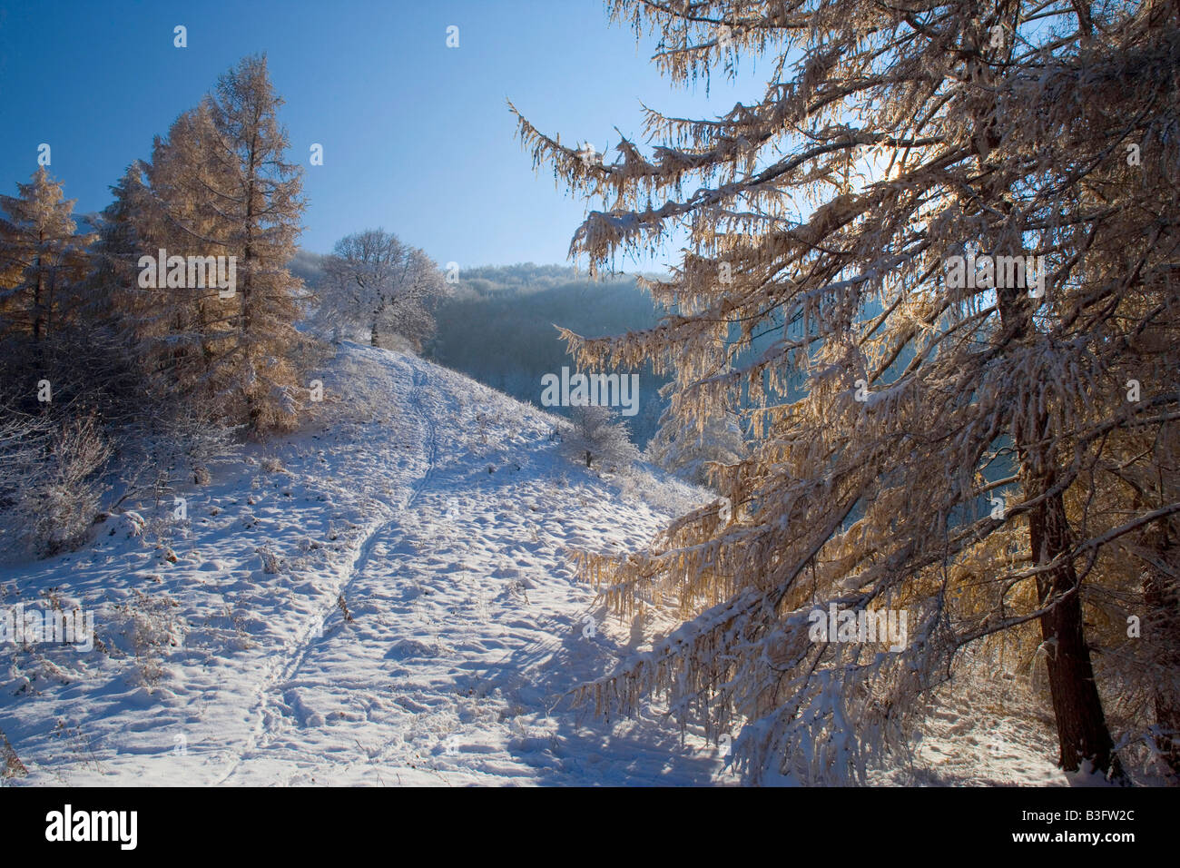 Sentiero nella neve stretto sentiero che conduce attraverso la fresca di paesaggi innevati quando arriva l'inverno Schwaebische Alb Germania Foto Stock