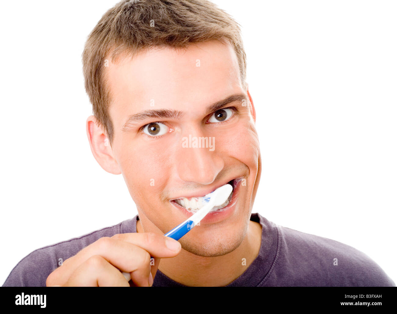 A pennello una'denti Foto Stock