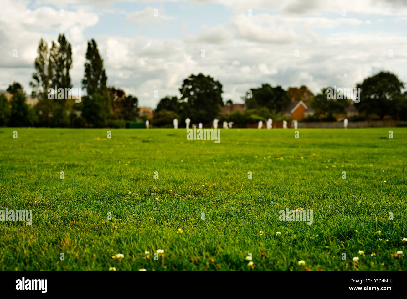 Campo da Cricket con i giocatori nella distanza messa a fuoco sul primo piano erba Foto Stock