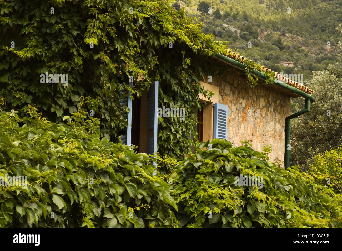Casale rustico in montagna con crescente di edera intorno ad esso Foto Stock