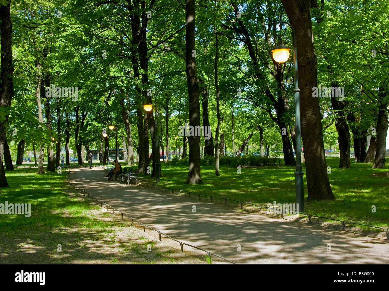 Il parco della città con live le luci di strada in maggio, San Pietroburgo Foto Stock