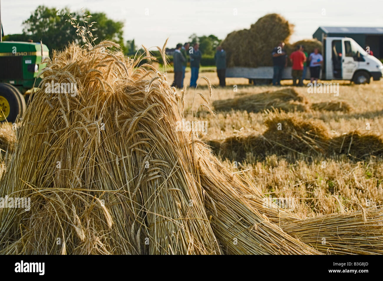 Di alto fusto impilati di grano in covoni o stooks per uso come paglia di copertura. I lavoratori si prendono una pausa in background. Foto Stock