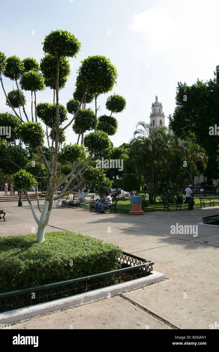 Plaza Grande, Merida, Penisola dello Yucatan, Messico Foto Stock