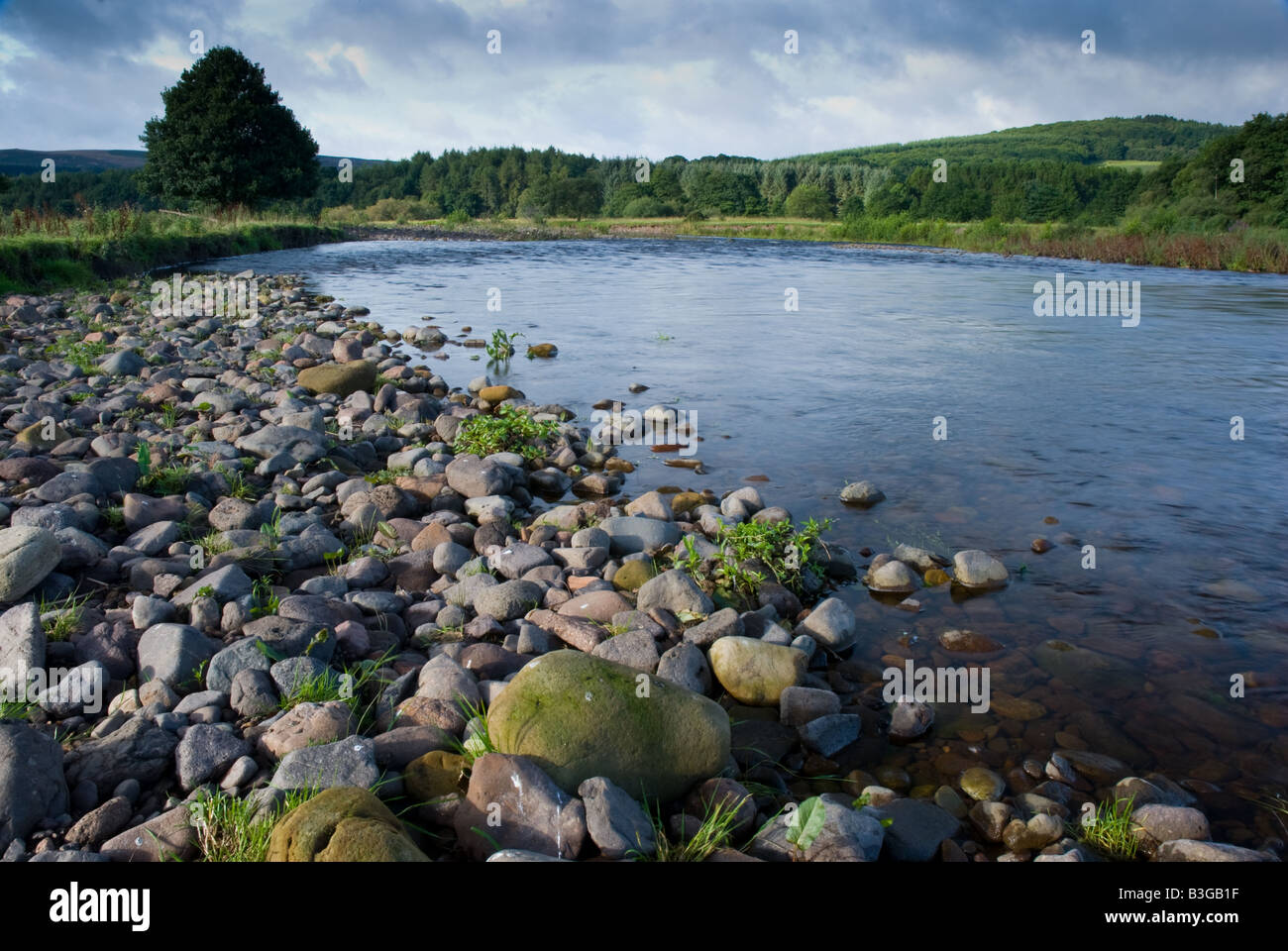 Il fiume Coquet vicino a Rothbury Northumberland Foto Stock