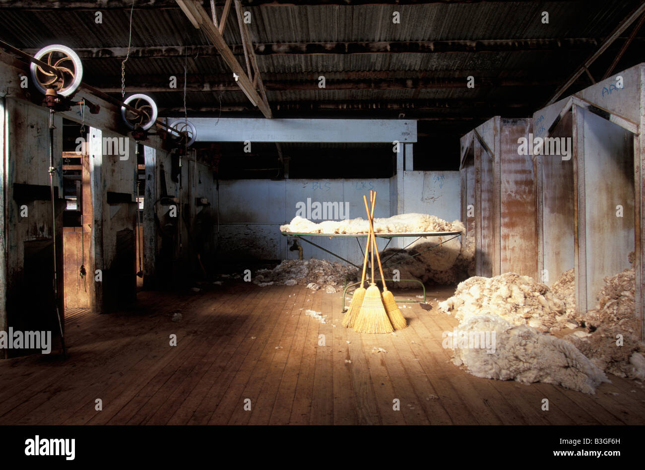 Capannone taglio Bindi Tongio Stazione Victoria Australia Foto Stock