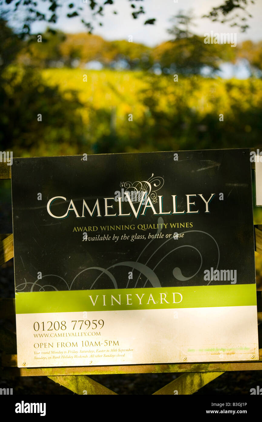 Il Camel Valley Vineyard vicino a Bodmin cornwall UK nel Regno Unito temperature warm up agricoltura è changeing Foto Stock