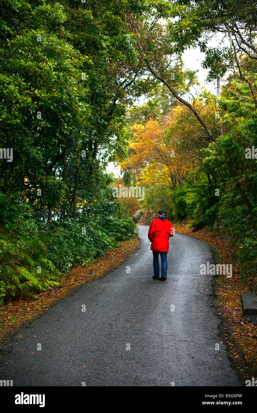 Un uomo in un rosso cappotto di pioggia cammina su una strada di campagna  in un giorno di pioggia Foto stock - Alamy