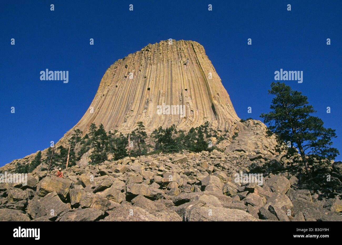 Stati Uniti d'America WYOMING DEVILS TOWER National Monument una vista del torreggiante Devil s Tower nel Wyoming orientale Foto Stock