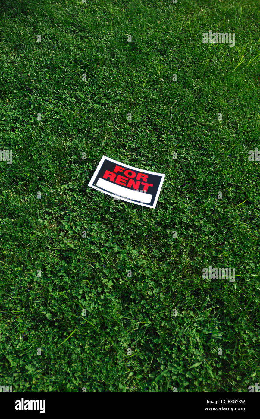 Per noleggiare segno su erba verde Foto Stock