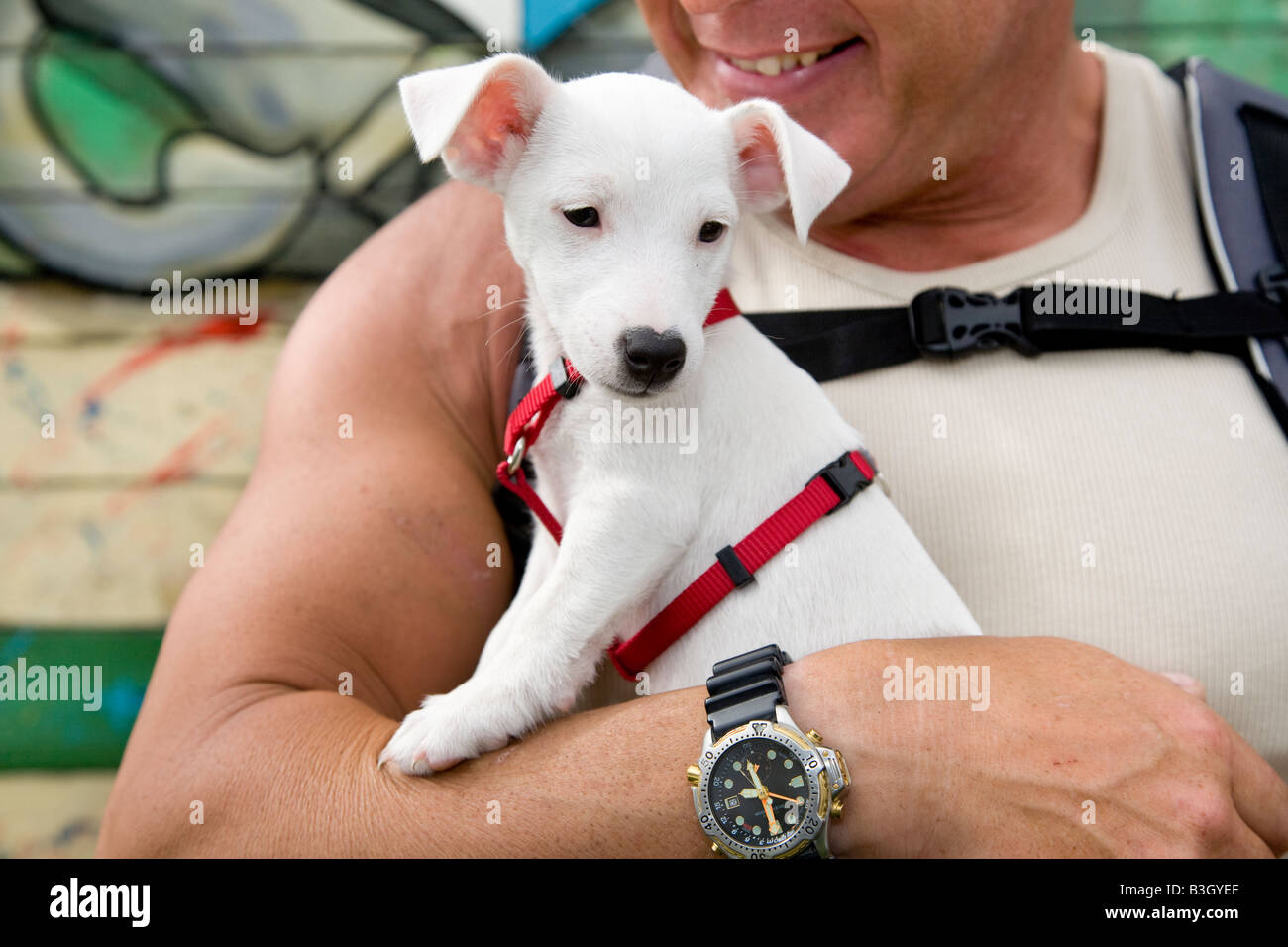 Uomo con cane bianco   Chatsworth Country Fair Derbyshire 'Piccolo & grande' Foto Stock