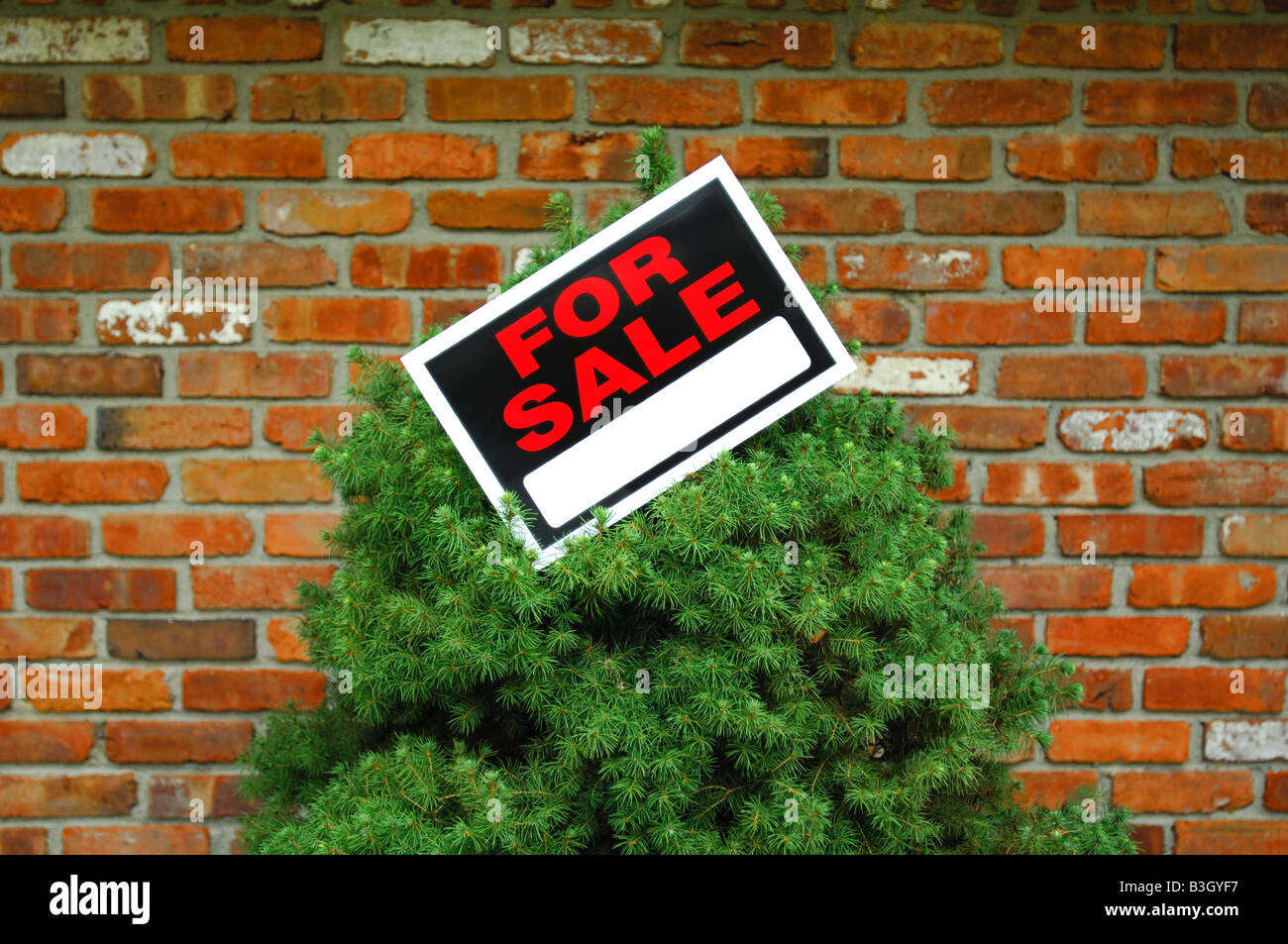 In vendita segno su un albero e un muro di mattoni Foto Stock