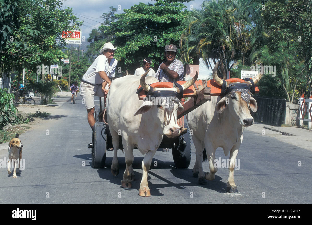 Uomini locali che pilotano un carro guidato da Ox nella strada principale di Paquera Guanacaste Costa Rica America Centrale Foto Stock