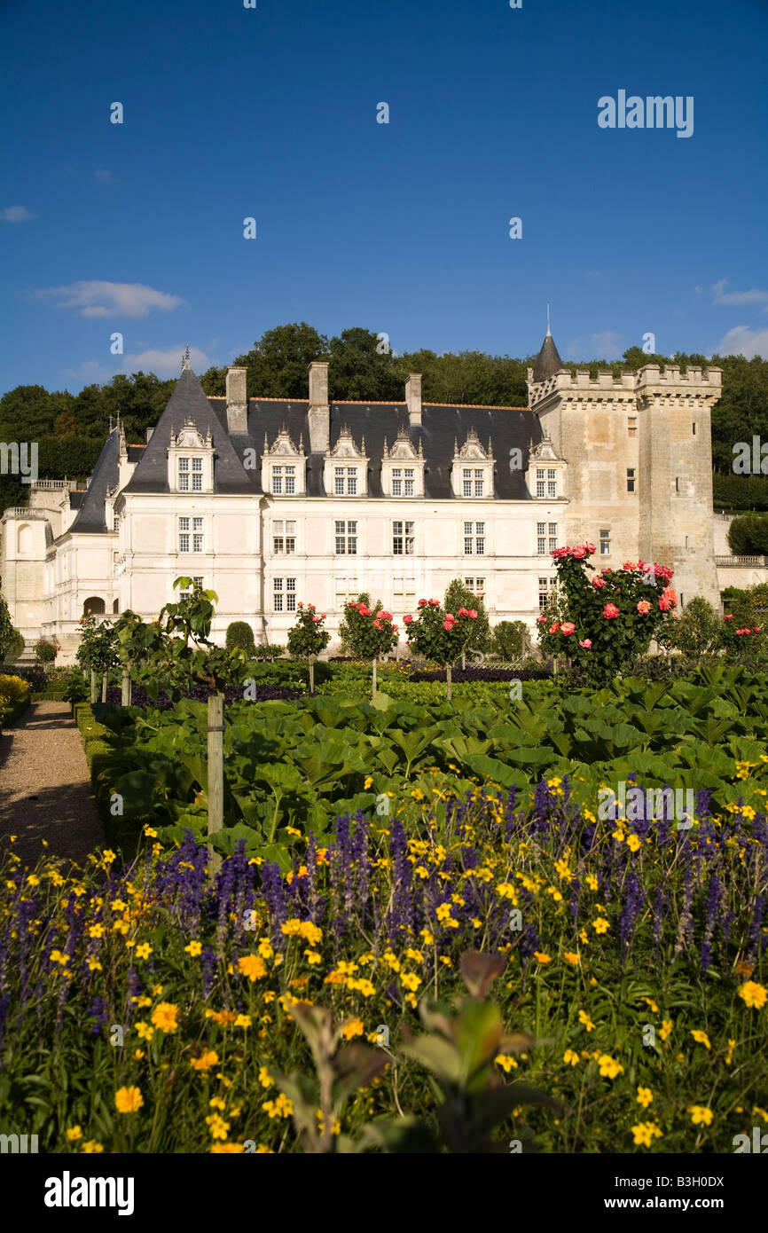 Siepe fiori nel potager (vegetale) giardini del castello di Villandry, Valle della Loira, in Francia nel pomeriggio di sole Foto Stock