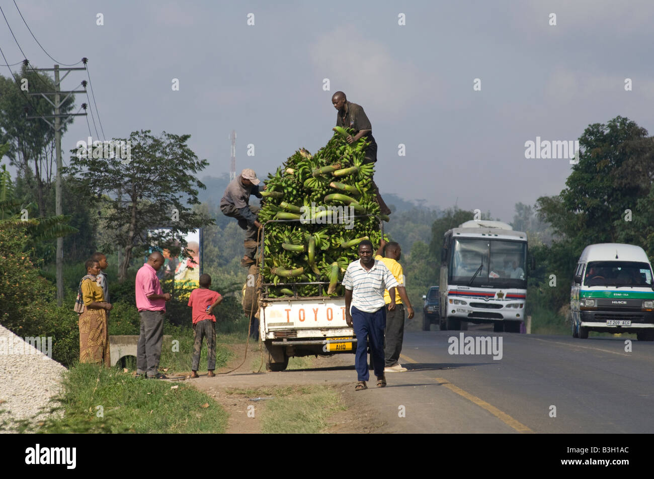 La cottura di banane caricato su un pickup, Arusha, Tanzania Foto Stock