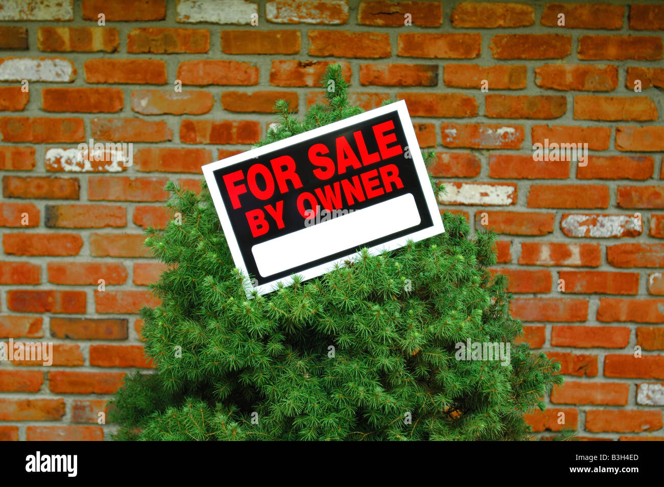 Per la vendita dal proprietario segno su un albero e un muro di mattoni Foto Stock