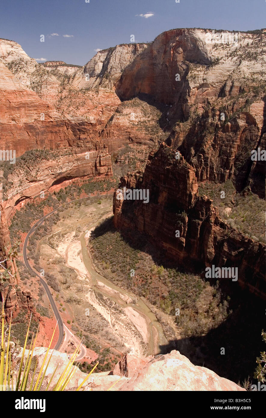 Angel's Landing mostra Zion Canyon. La vista in elevazione mostra la forcella del nord fiume vergine e la Strada Statale 9 sul fondovalle. Foto Stock