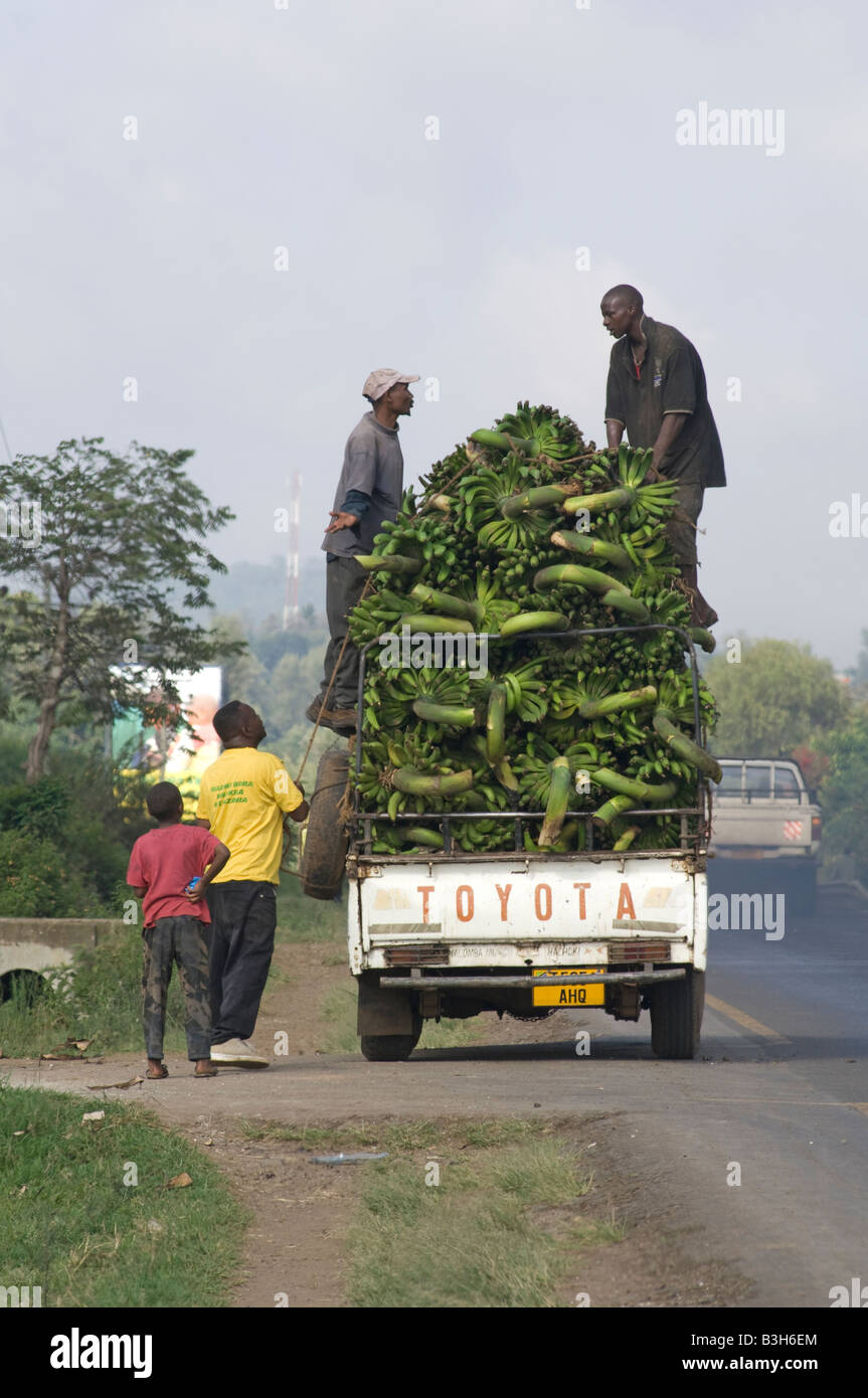La cottura di banane caricato su un pickup, Arusha, Tanzania Foto Stock