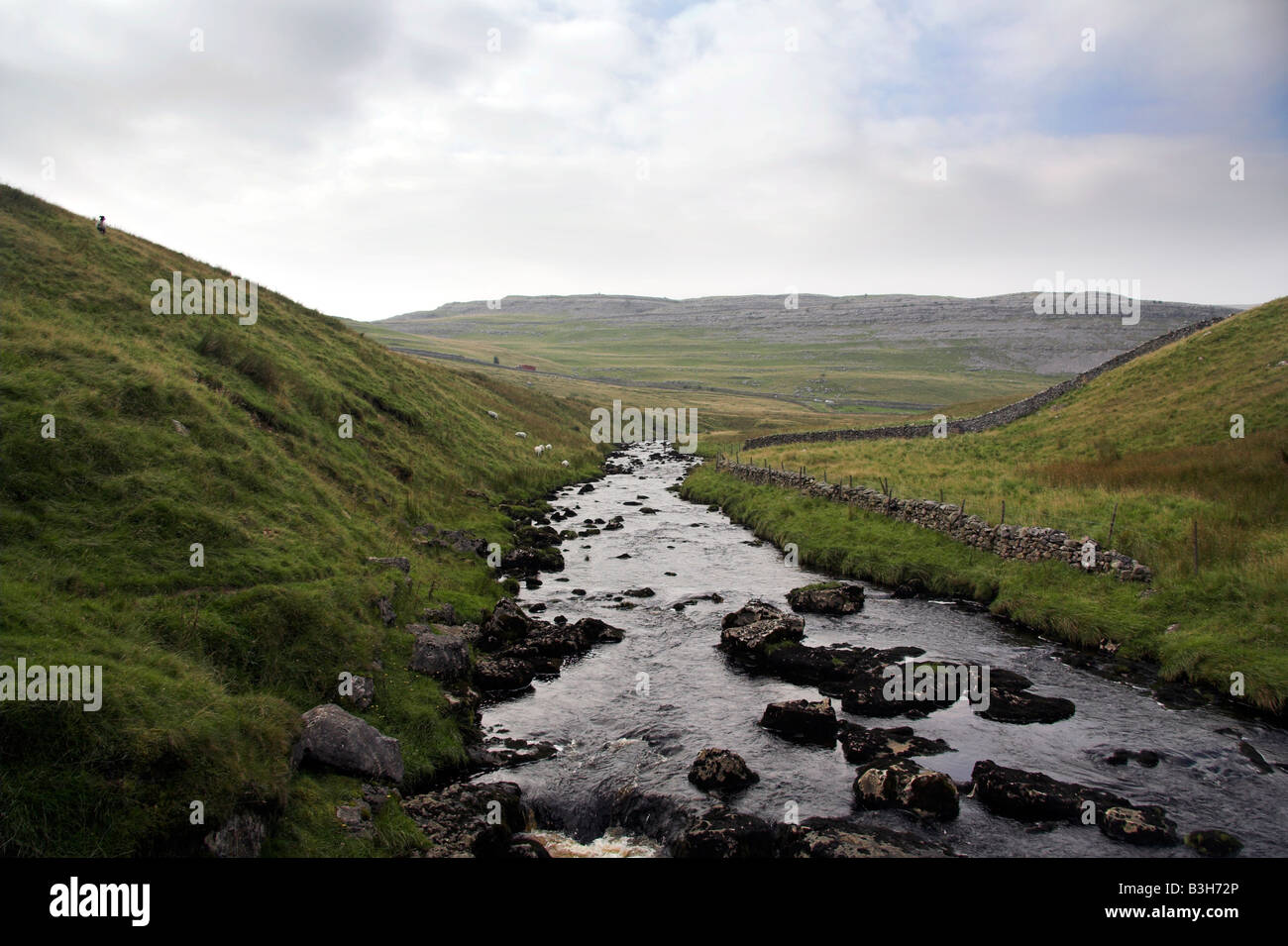 Stream, in aperta campagna, Ingleton Waterfalls Trail, Yorkshire Dales, REGNO UNITO Foto Stock