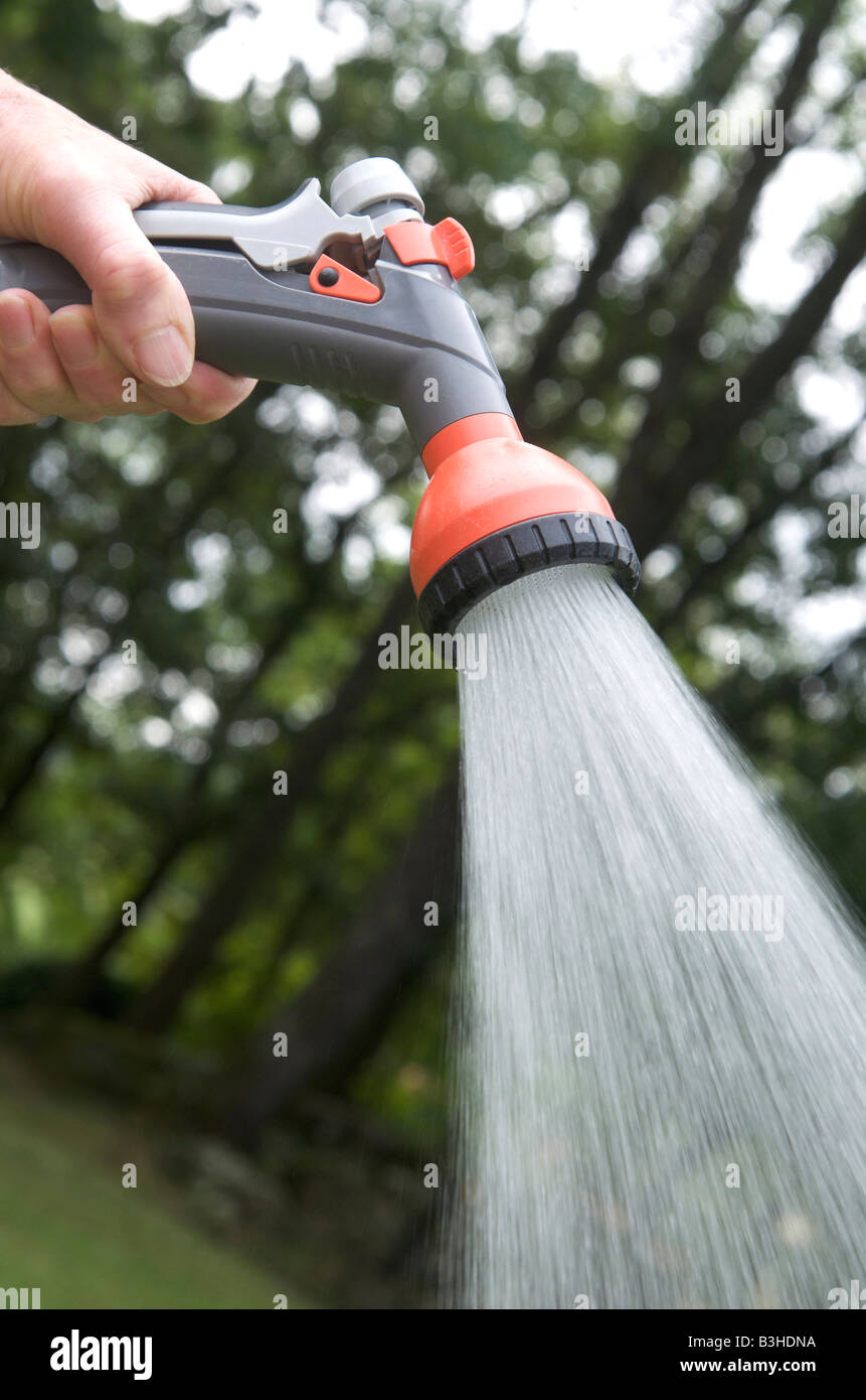 Irrigatore per giardini che spruzza acqua in un giardino lussureggiante durante una giornata di sole Foto Stock Irrigatore per giardini che spruzza acqua in un giardino lussureggiante durante una giornata di sole Foto Stock