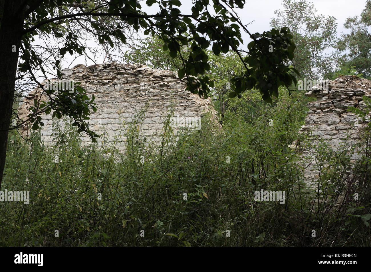 La rovina di edifici contadina dal XIX secolo Foto Stock