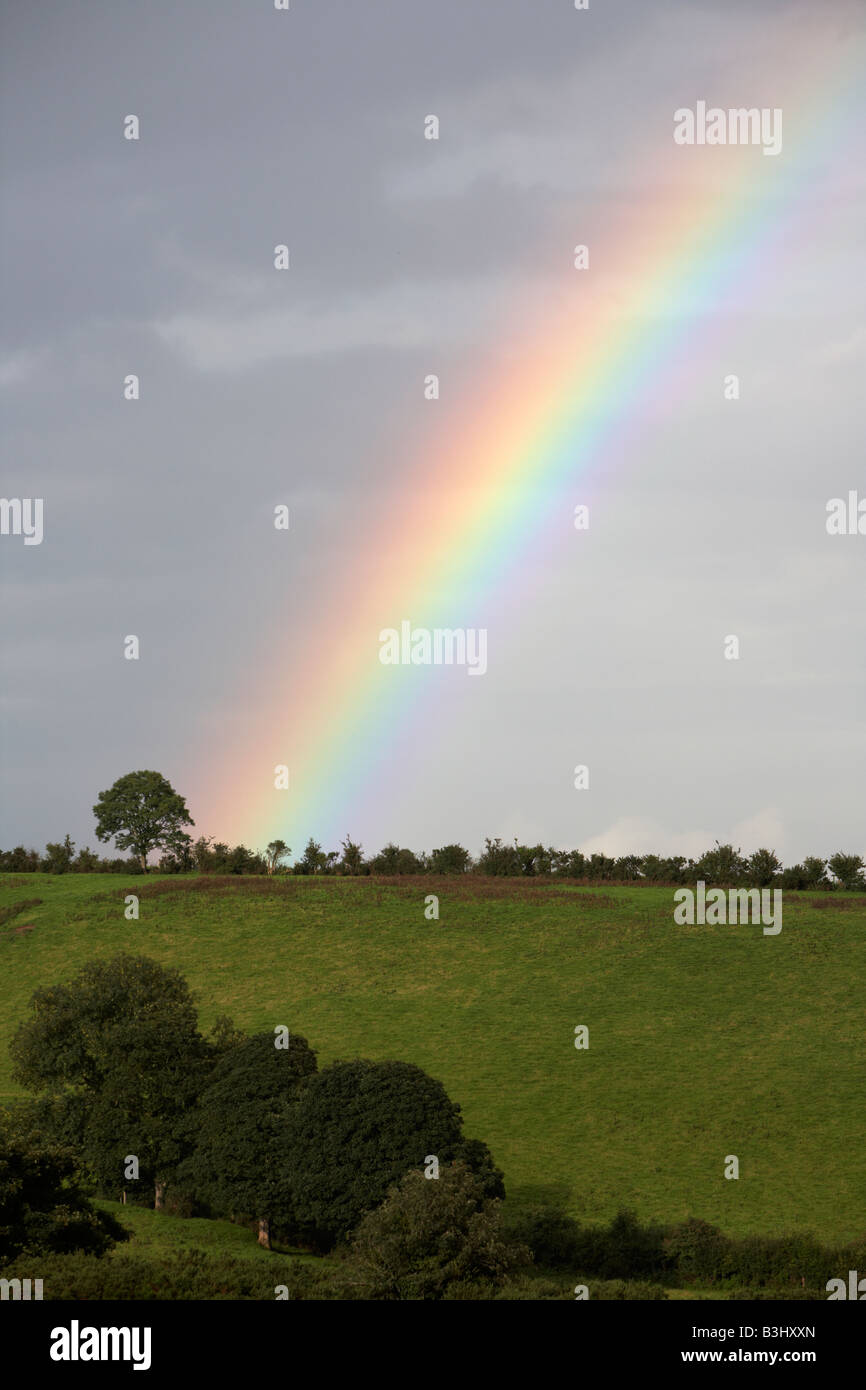 Albero alla fine dell'arcobaleno contro il grigio scuro cielo sopra il verde dei campi irlandese Foto Stock